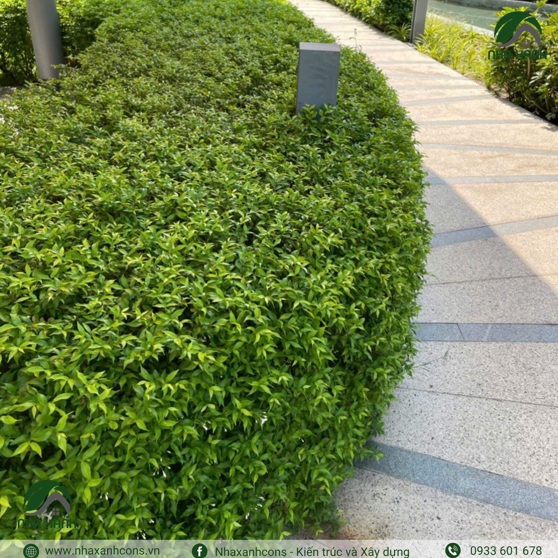 Hình ảnh bài viết