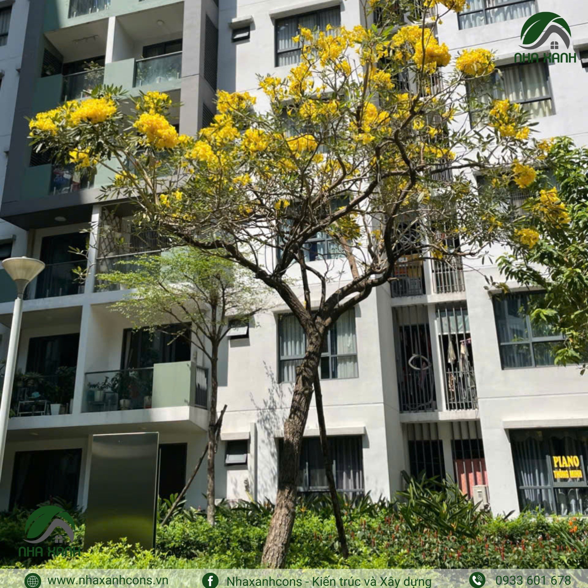 Hình ảnh bài viết