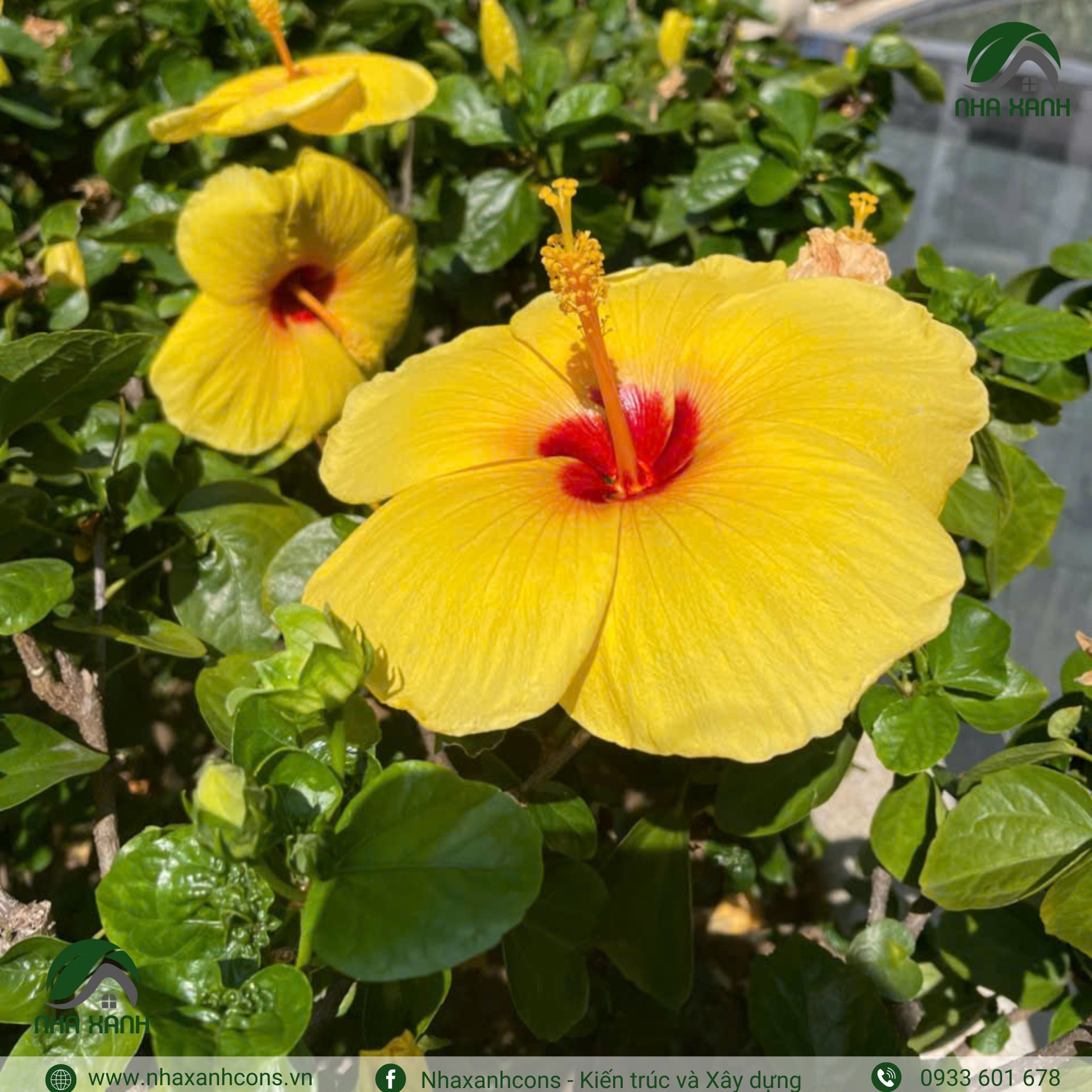 Hình ảnh bài viết