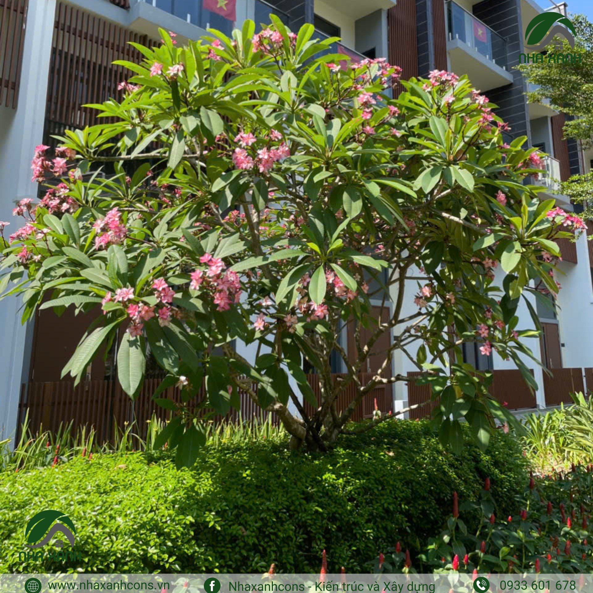 Hình ảnh bài viết
