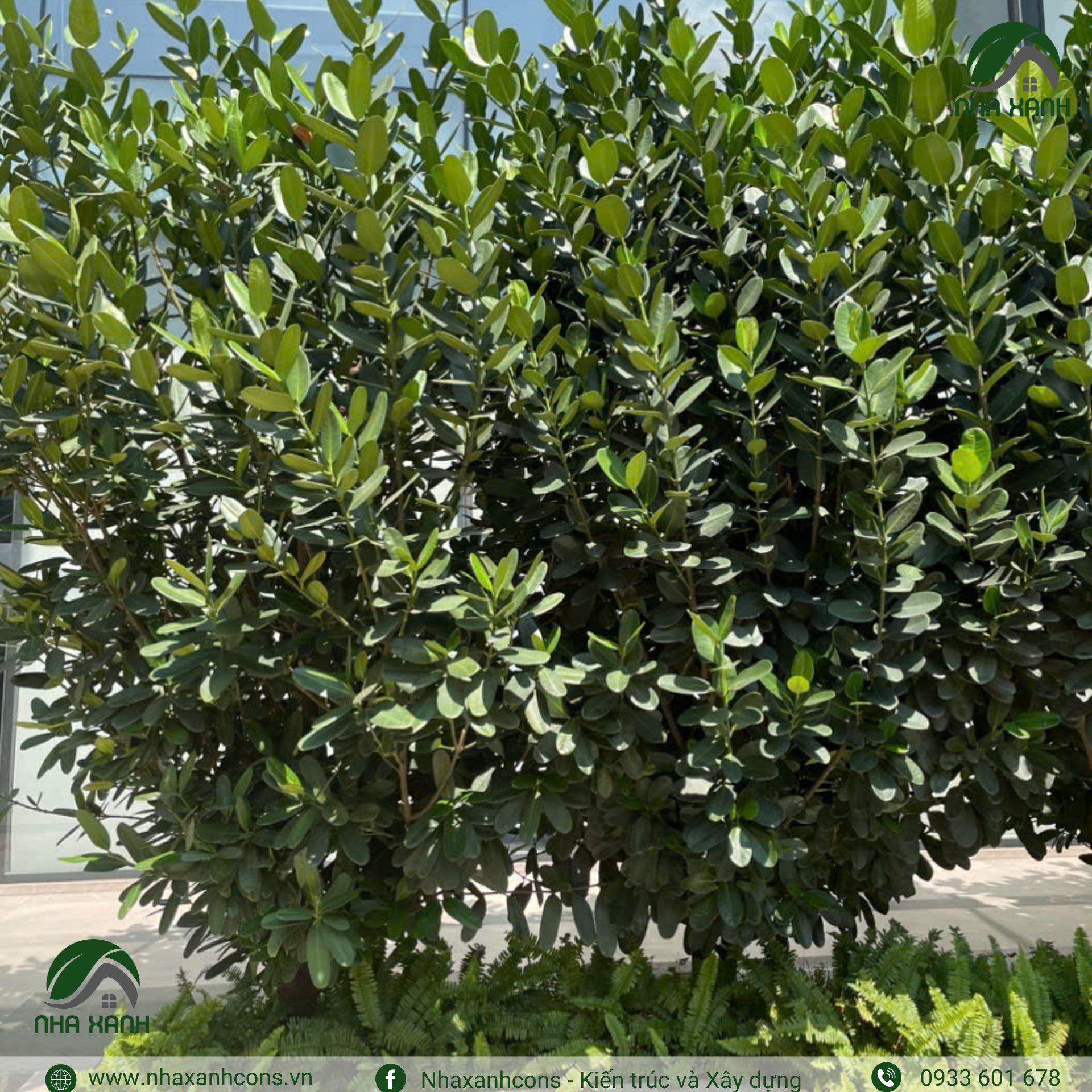 Hình ảnh bài viết