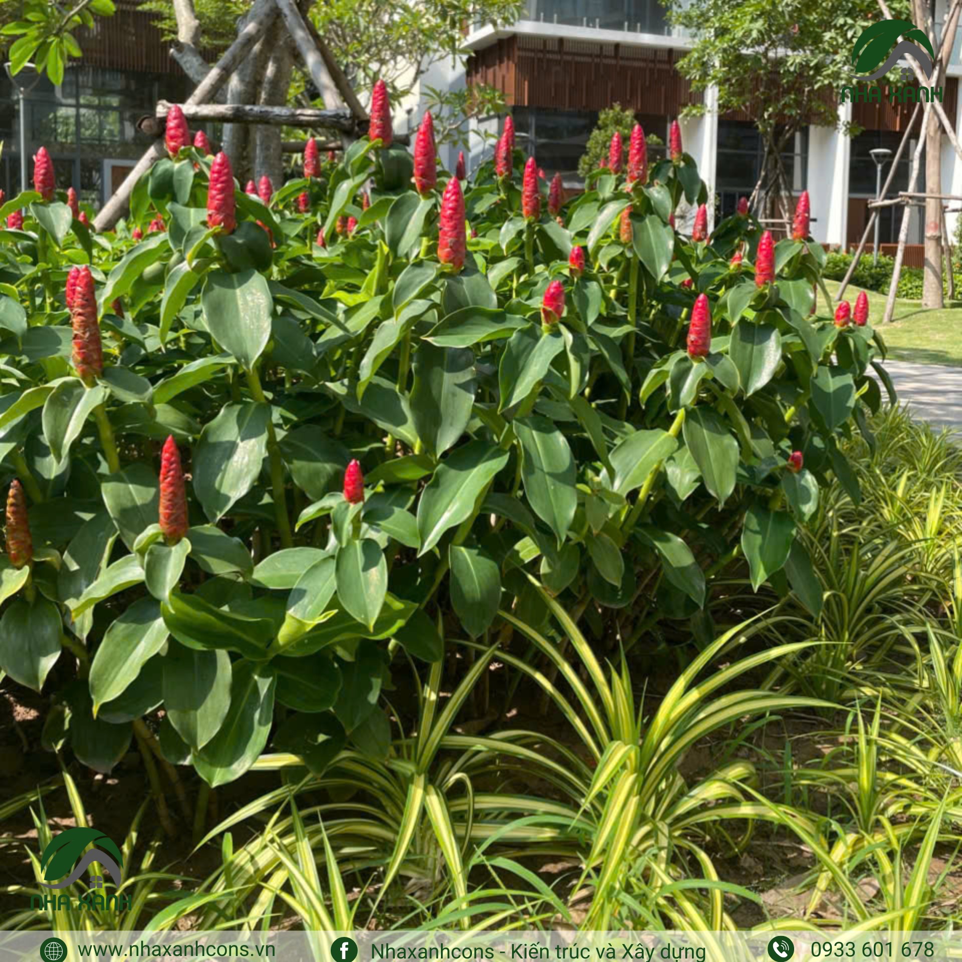 Hình ảnh bài viết