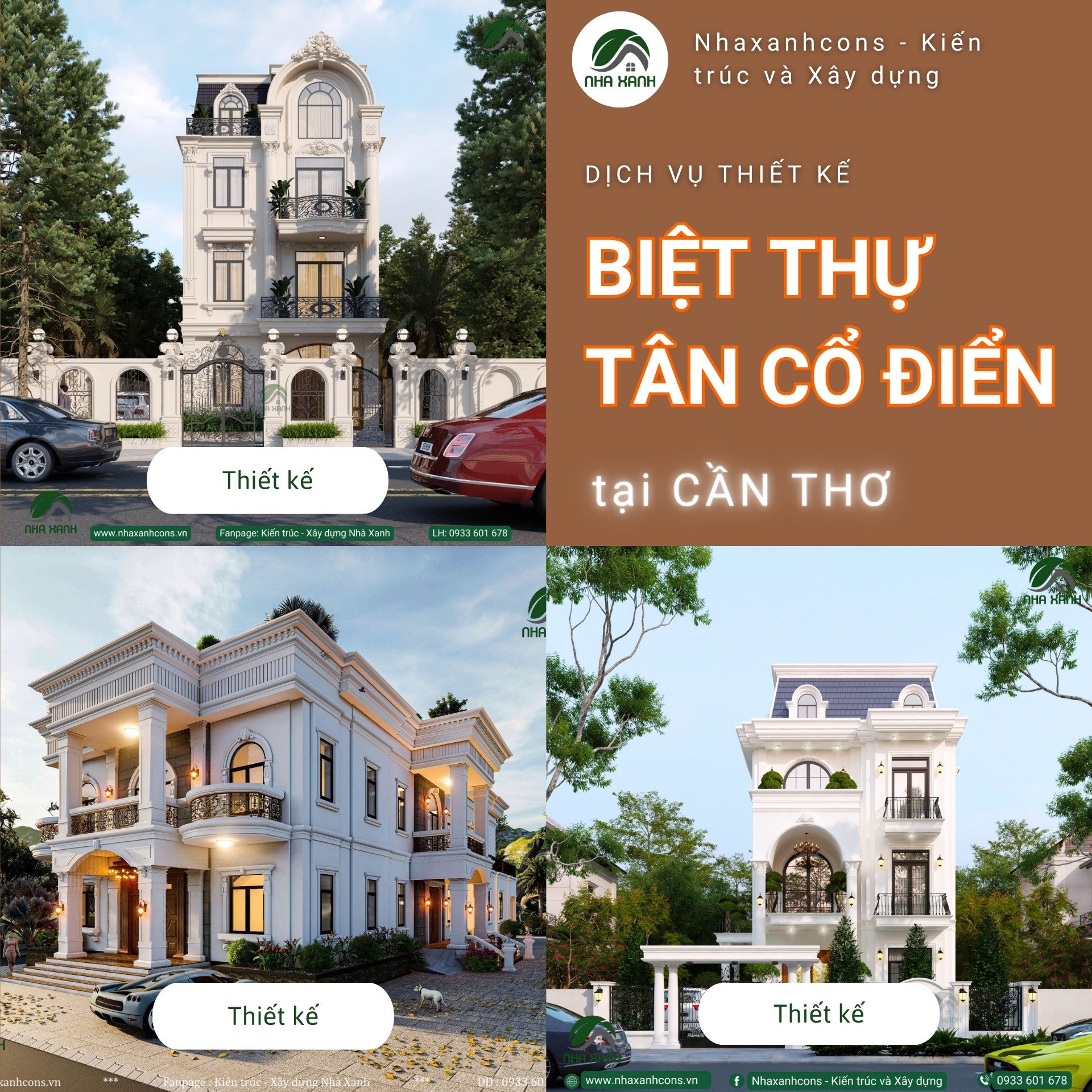 Hình ảnh bài viết