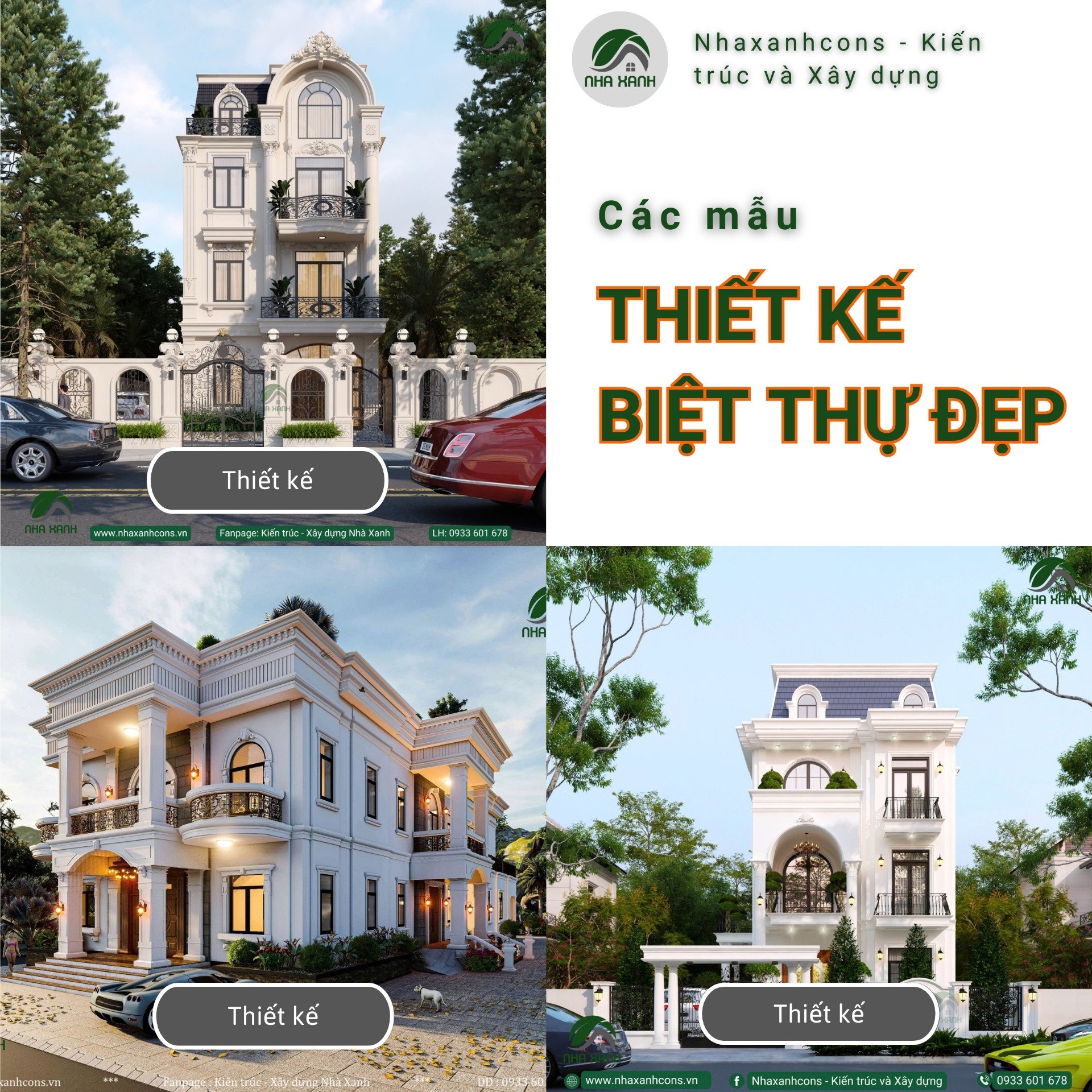Hình ảnh bài viết