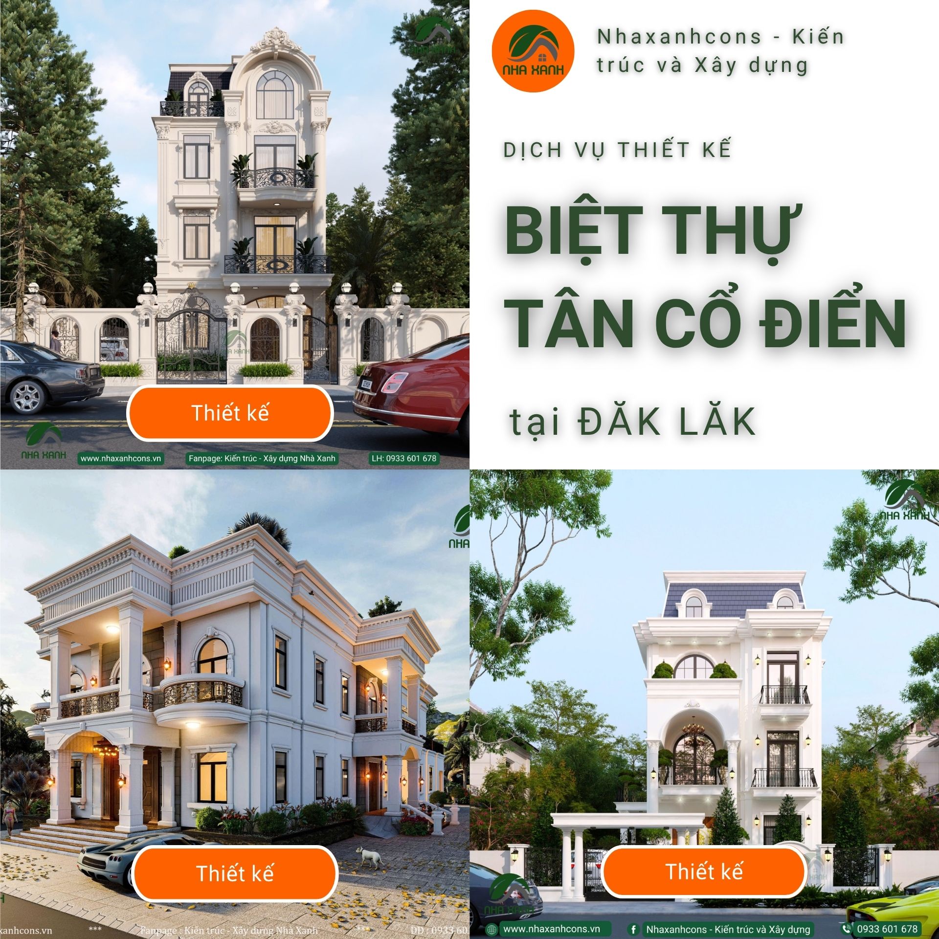 Hình ảnh bài viết