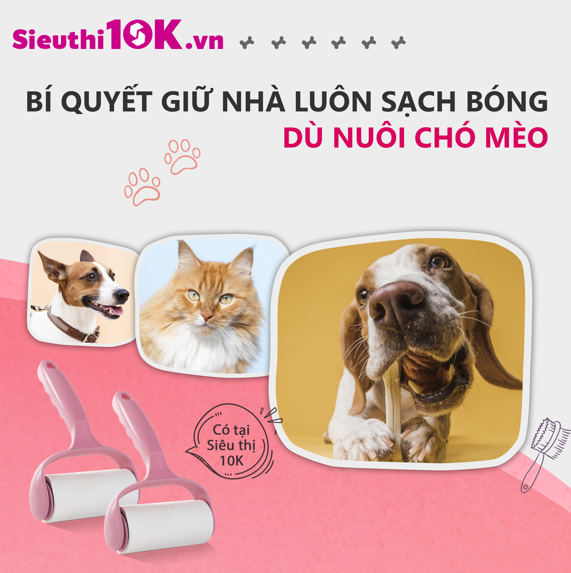 Bí quyết giữ nhà luôn sạch bóng dù nuôi chó mèo