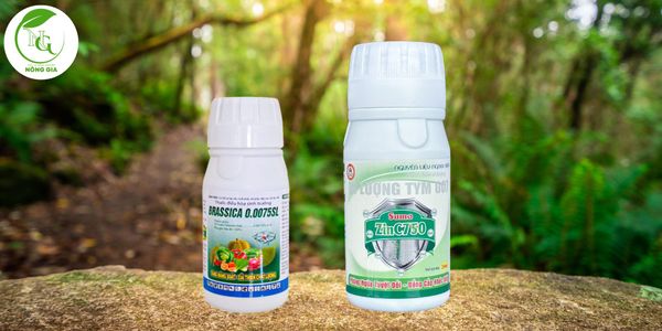 Điều hòa sinh trưởng Brassica và kẽm Sumo ZinC750