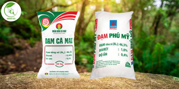 Đạm Cà Mau và Đạm Phú Mỹ