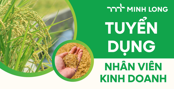 Tuyển dụng nhân viên kinh doanh khu vực An Giang