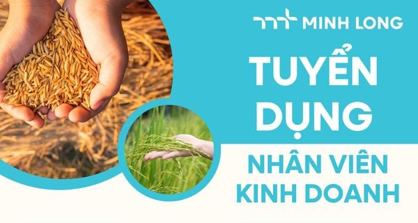 Tuyển dụng nhân viên kinh doanh khu vực Bắc Sông Hậu