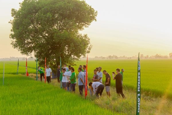 Check in nhận ngay quà xịn cùng nhiều chương trình ưu đãi đặc biệt với sản phẩm Riceguard 40 OD