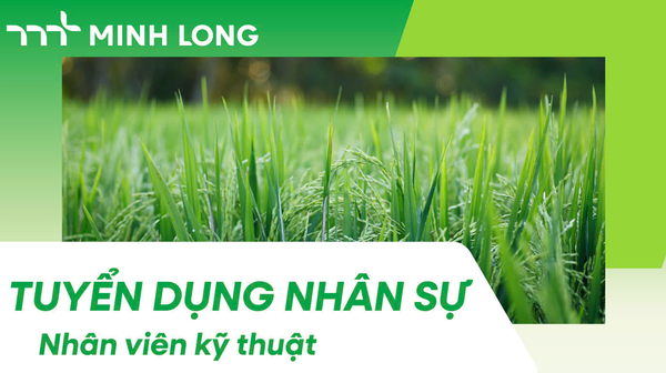 Tuyển dụng nhân viên kỹ thuật khu vực Nam Sông Hậu