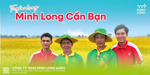 Tuyển dụng nhân viên kỹ thuật quý I 2025