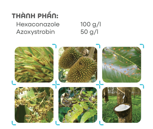 HEXTOP 150SC