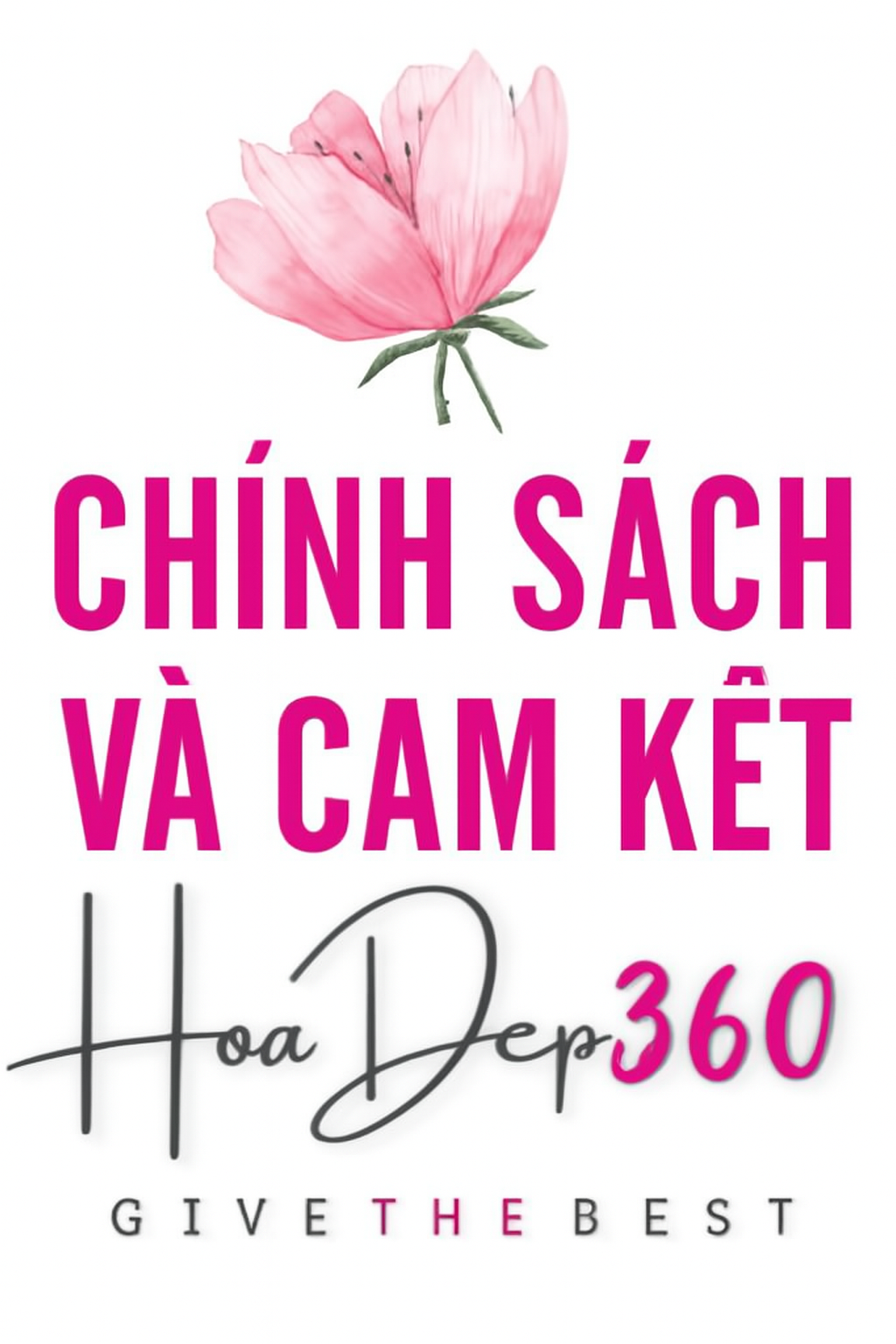 Chính Sách và Cam Kết Của Hoa Đẹp 360