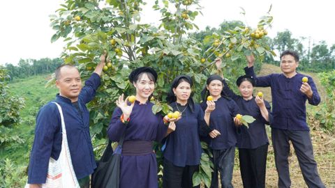 Cô gái Nùng với khát vọng nâng tầm giá trị Hồng vành khuyên