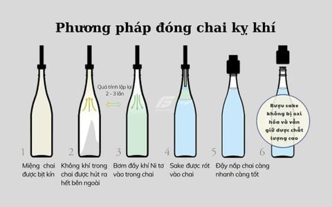Hệ thống đóng chai kỵ khí Daishichi - Bí quyết đỉnh cao giữ gìn hương vị và chất lượng