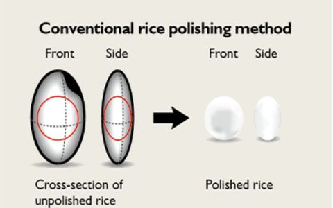 Daishichi: Bước tiến mài gạo siêu phẳng & bậc thầy Yoshio Ogata