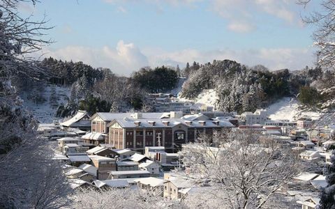 Daishichi - Hành trình đoạt giải danh giá nhờ phương pháp Kimoto