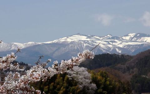 Nihonmatsu: Nơi Daishichi gìn giữ nghệ thuật sake truyền thống