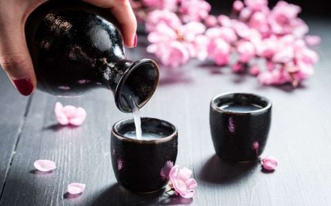 Khám phá bí mật đằng sau thế giới rượu sake Nhật Bản