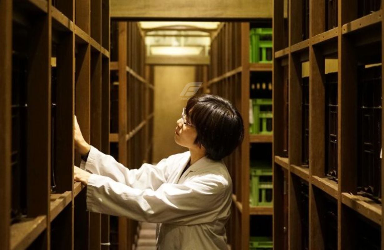 Cách Daishichi thực hiện quá trình ủ chín Sake Daishichi