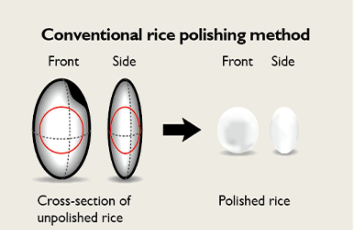 Tại sao nấu rượu sake cần phải mài gạo?