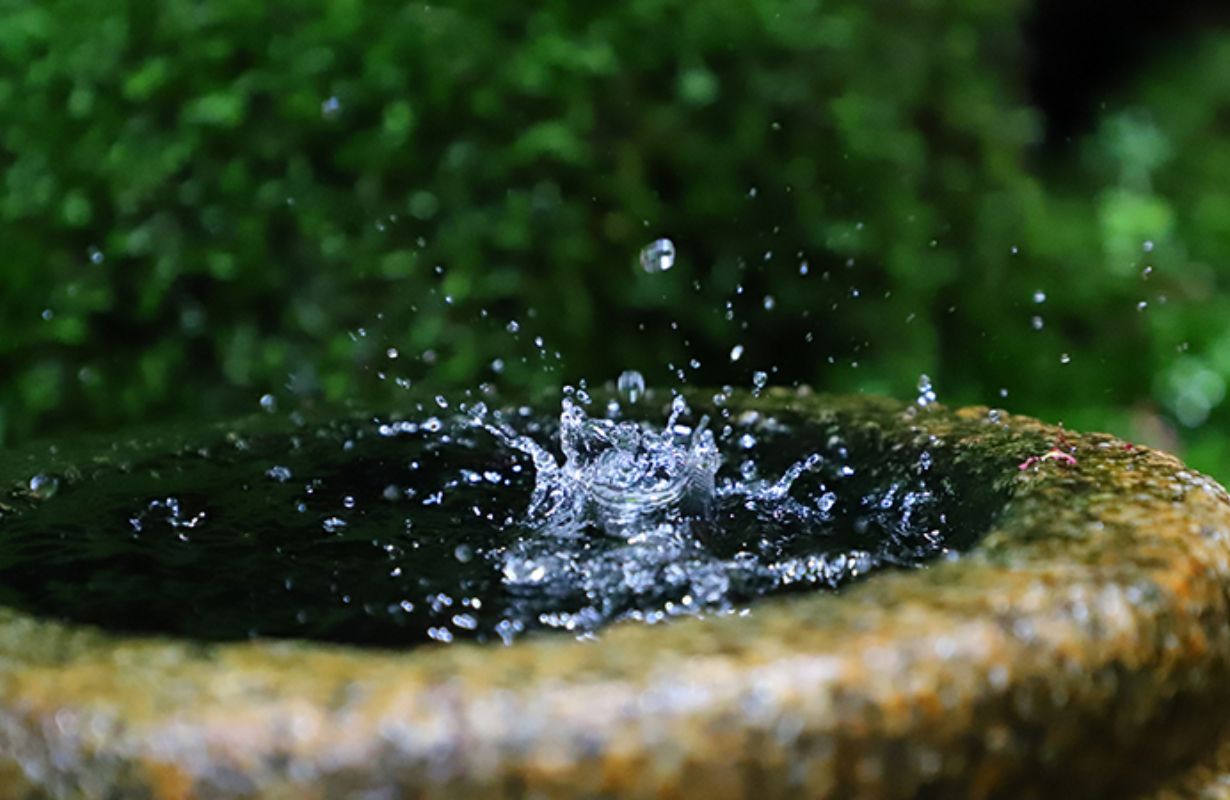 Tại sao nước Giếng Naka Ido Daishichi sử dụng lại đặc biệt?