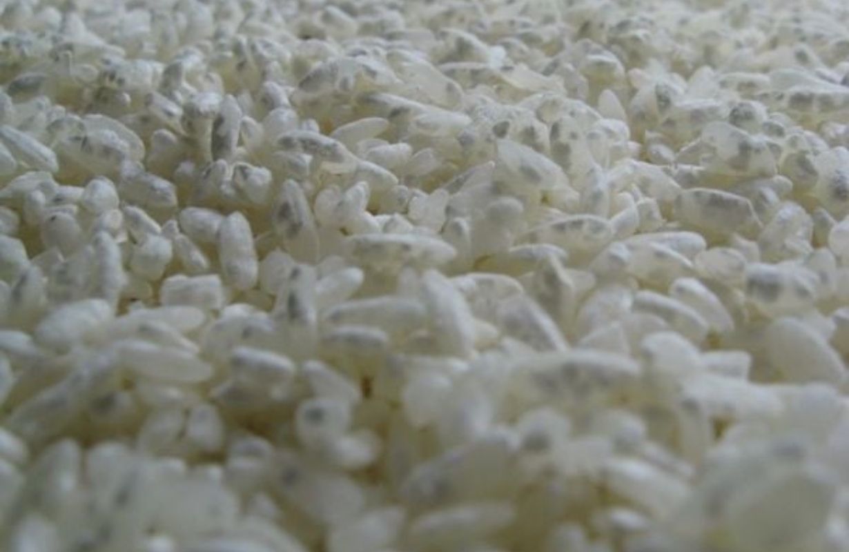 Men Koji là gì và vì sao nó lại quan trọng?