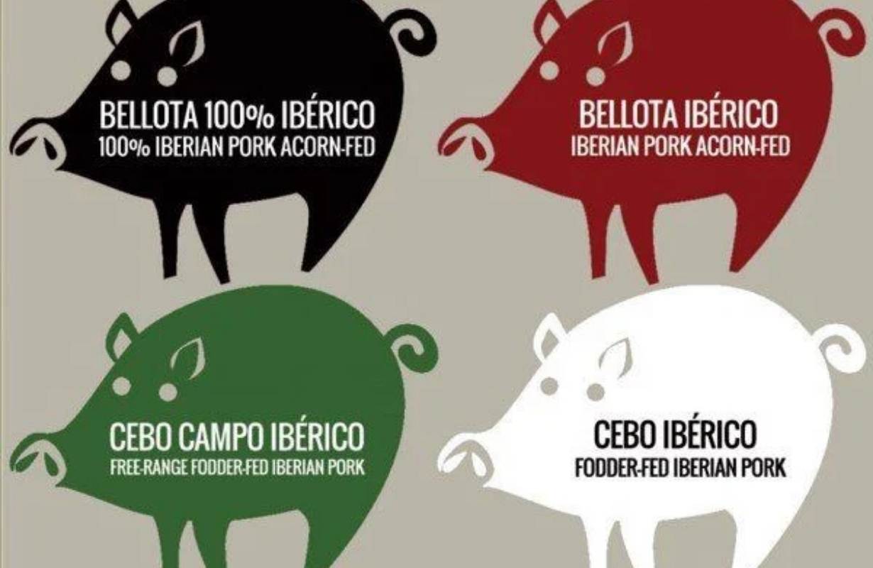 Phân loại thịt heo muối Iberico