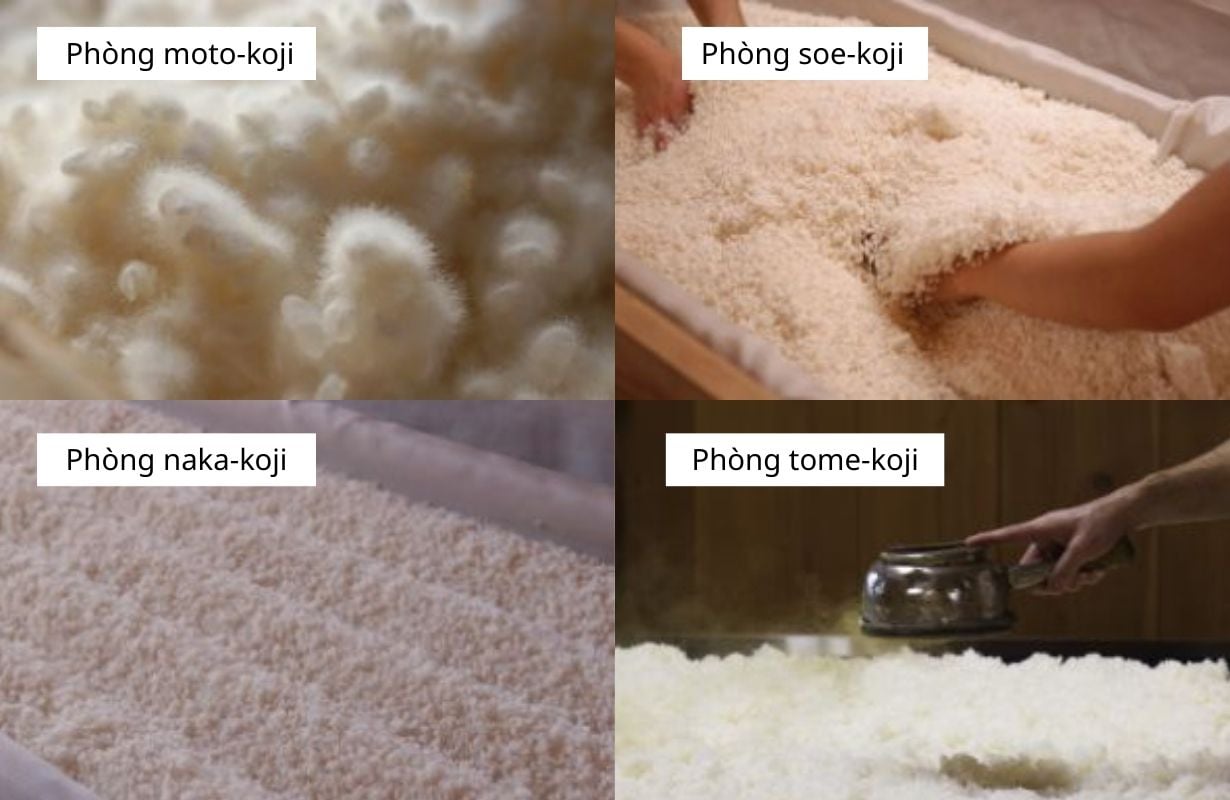 Bí quyết 4 phòng nuôi cấy men Koji của Daishichi