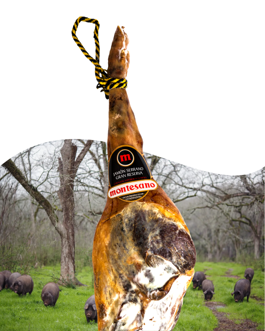 Tại Sao Lại Là Iberico?