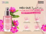 Chiết Xuất Hoa Hồng Đá (Rock Rose Extract): “Chiến Binh” Tự Nhiên Cho Làn Da Nhạy Cảm