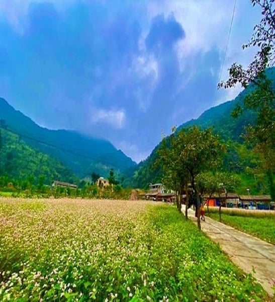 Ha Giang backpacking guide from A to Z