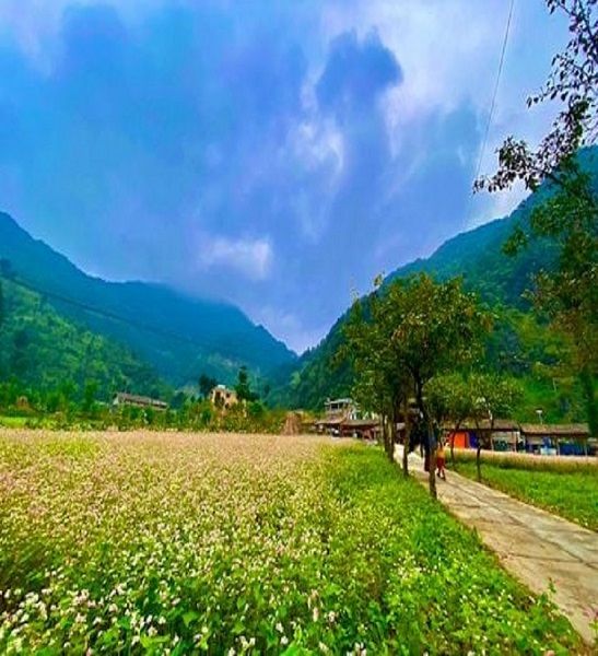 Ha Giang backpacking guide from A to Z