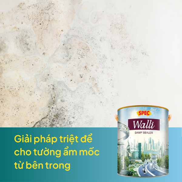 Sơn lót chống thấm ngược SPEC WALLI DAMP SEALER