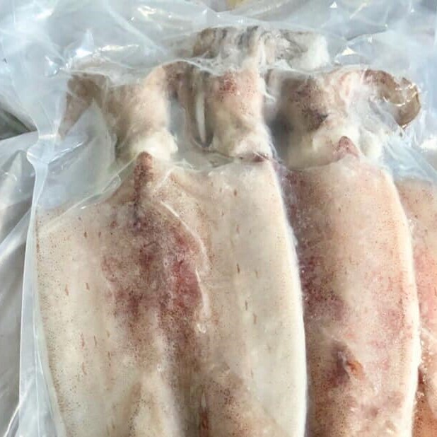 Cá - Mực một nắng