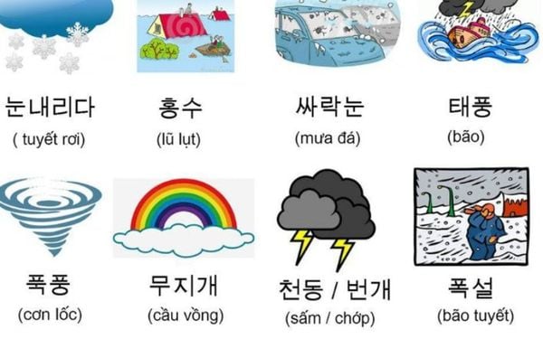 2000+ từ vựng tiếng Hàn theo chủ đề thông dụng, hay dùng nhất