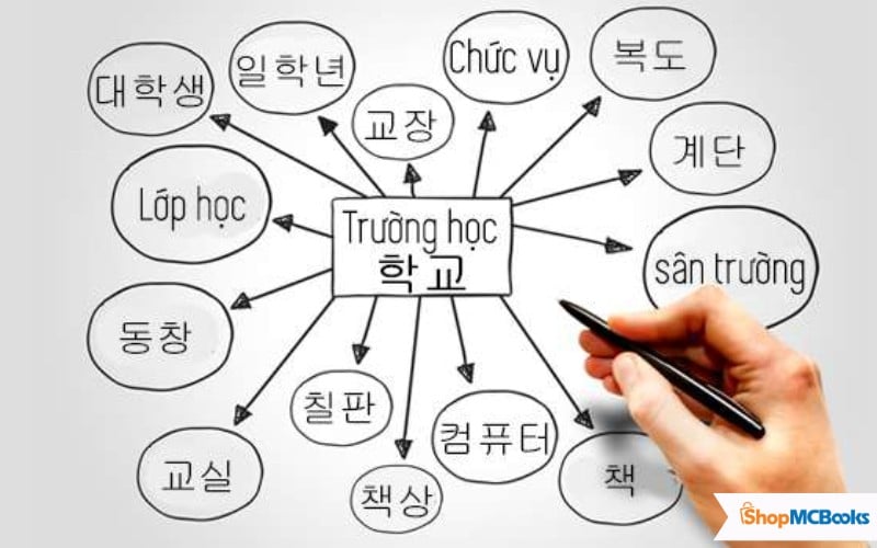 Tại sao bạn nên học từ vựng tiếng Hàn theo chủ đề
