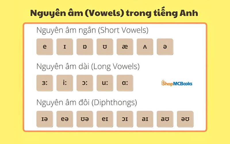 Nguyên âm trong tiếng Anh là gì