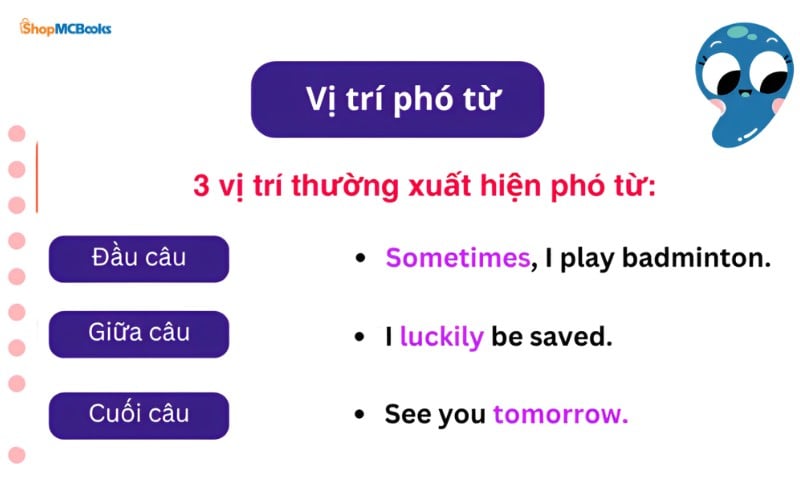 Vị trí của phó từ trong câu