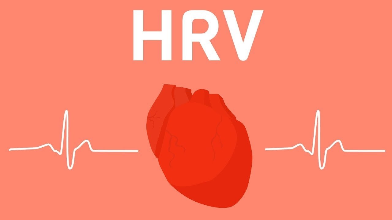 HRV nhịp tim là gì? Hiểu đúng để tập luyện hiệu quả hơn