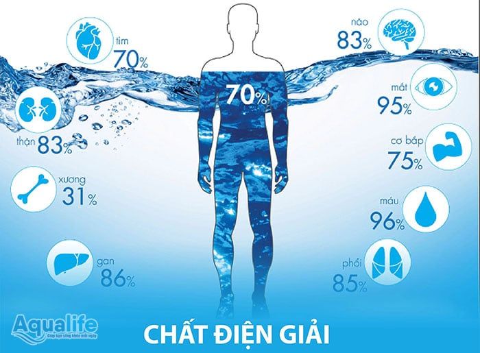 Điện giải là gì?