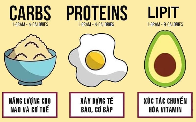 Phân loại carb tốt và carb xấu