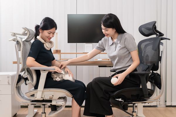 Ghế Công Thái Học: Giải Pháp Hoàn Hảo Cho Sức Khỏe Dân Văn Phòng