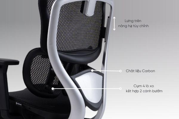 Tựa lưng Carbon