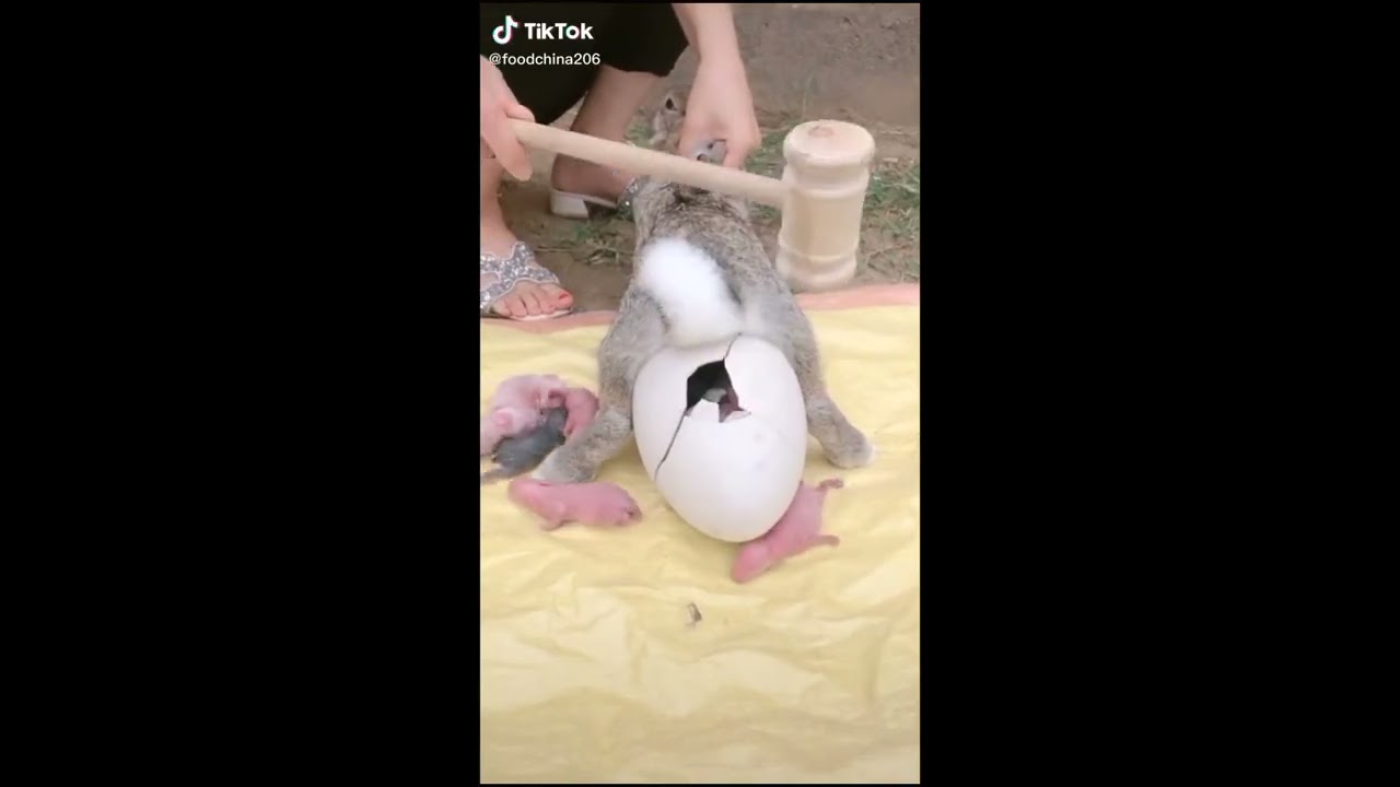 5 Kinh Nghiệm Mua Ô Tô Cũ Tránh 