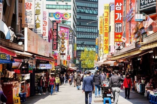 Chợ Sâm Hàn Quốc Thiên Đường Nhân Sâm Và Những Điều Cần Biết 2025