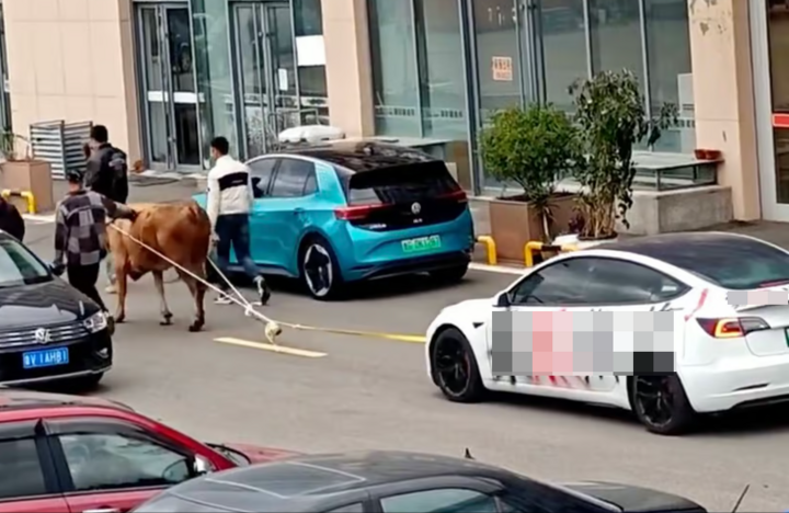 Tesla Sẽ Triển Khai Hệ Thống Đặt Chỗ Tại Các Trạm Sạc Để Giảm Thiểu Xung Đột