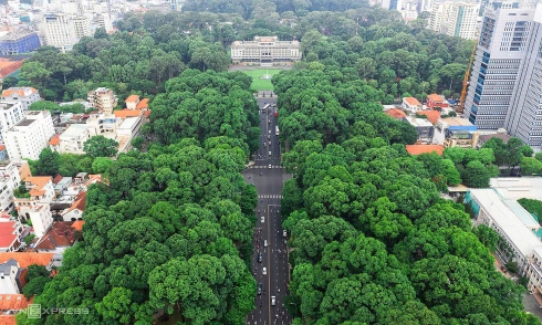 Vụ Tài Xế Xe Điện